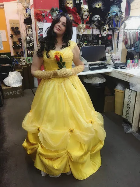 Beauty and the Beast