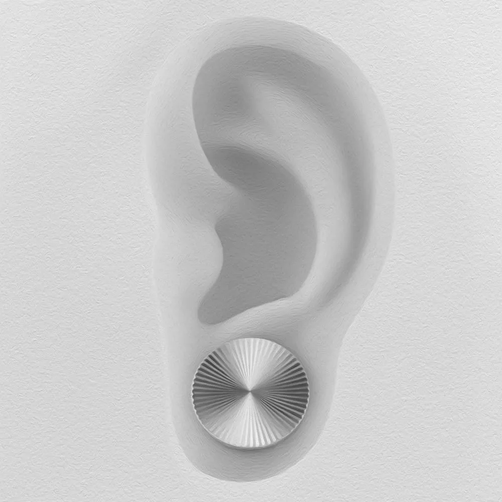 DOEARKO 2PCS Classic Diffuse Light Ear Plugs Tunnels gauges Stainless Steel Ear Gauges Body Piercing Jewelry for women/men