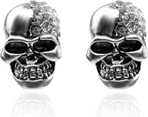 KaFu Punk Gothic Skull Piercing Earrings Surgical Stainless Steel Crystal Skull Stud Earrings for Men Women Jewelry