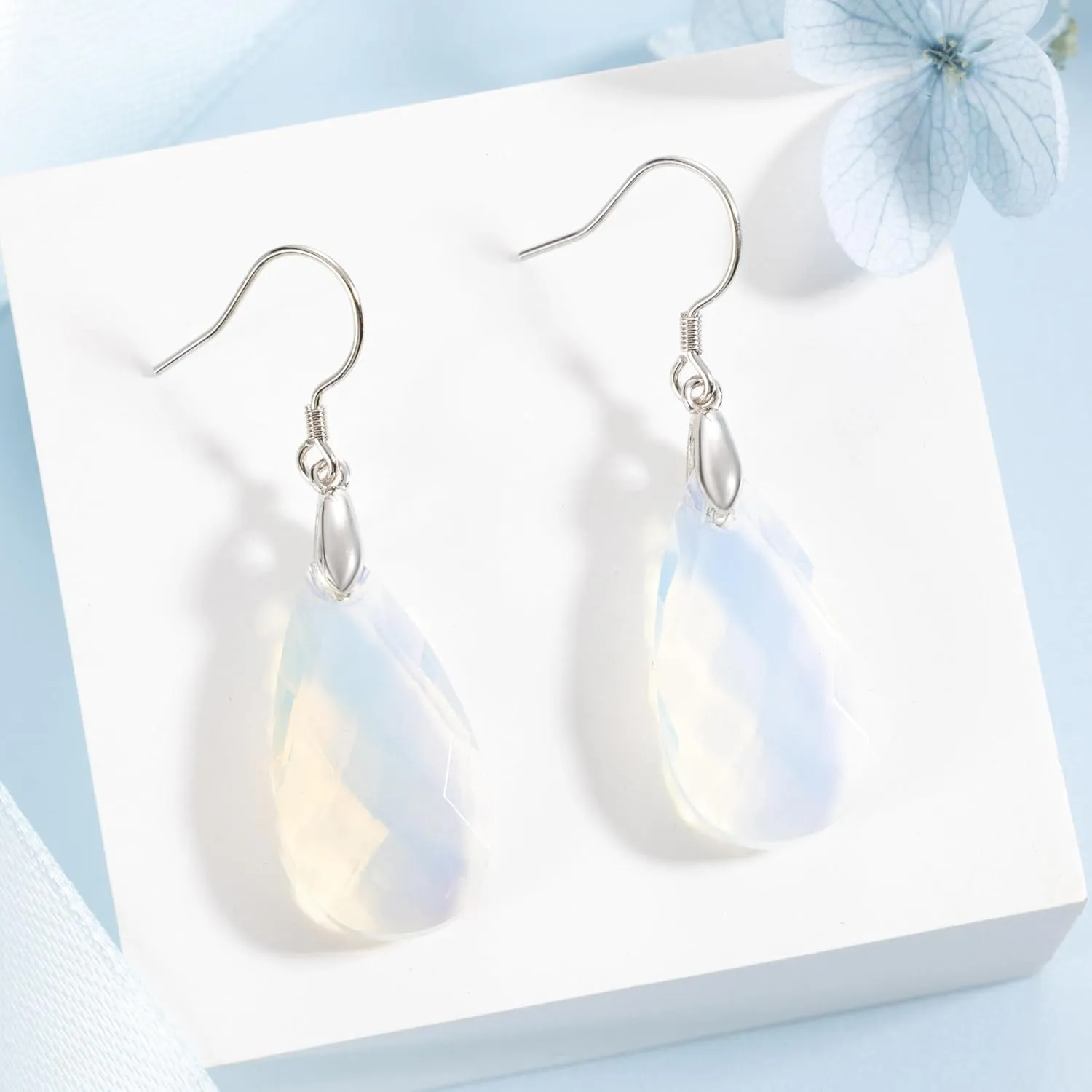 SELOVO Teardrop Fishhook Dangle Drop Earrings for Women Crystal Earring