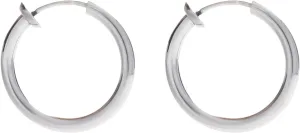 Stainless Steel Hoop Earrings for Women, Hoop Earrings 2.5X8 mm Hoop Hoop Earrings Jewelry Gifts